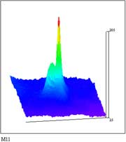 Figure 3b